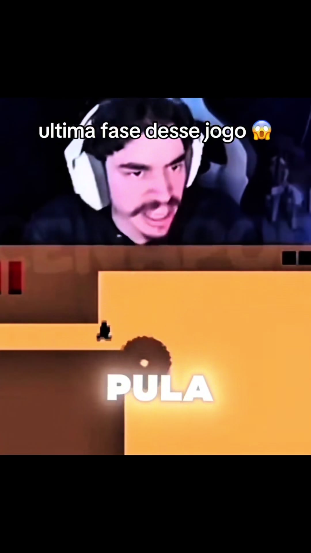 @Ratinho_bjj