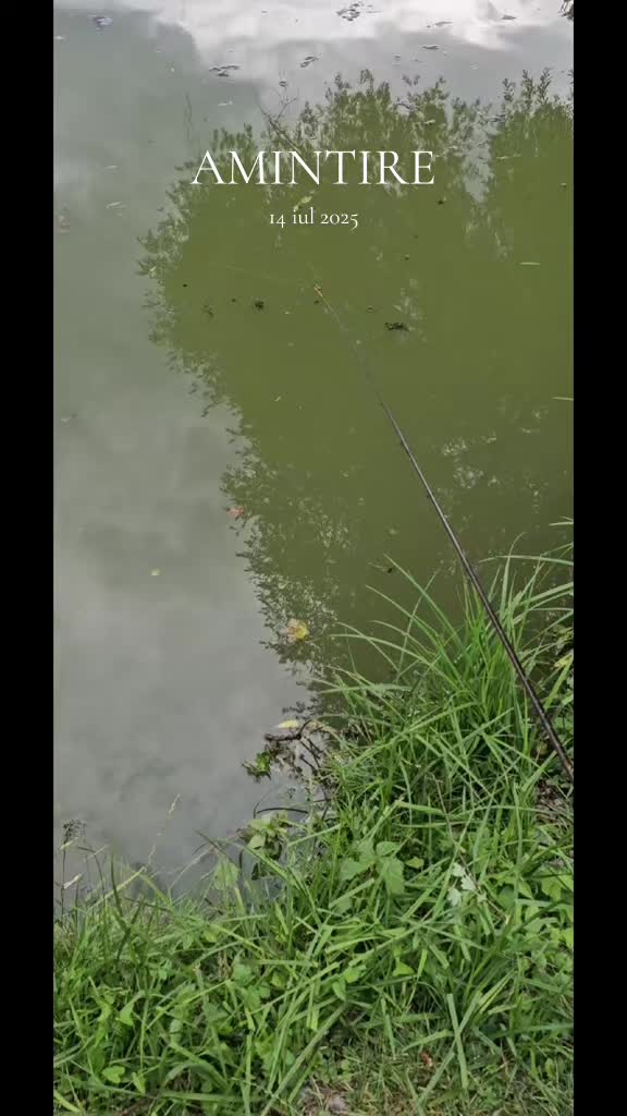 @🇷🇴Juncu🇩🇪🎣Pescar peNeckar