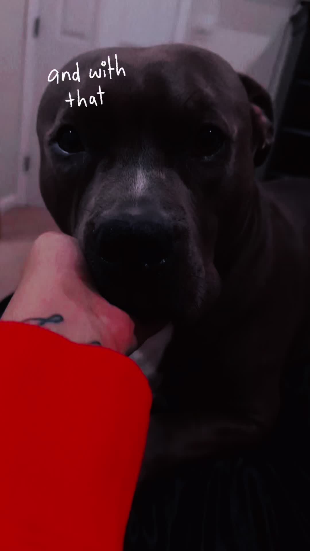 @Kimmpossiblee