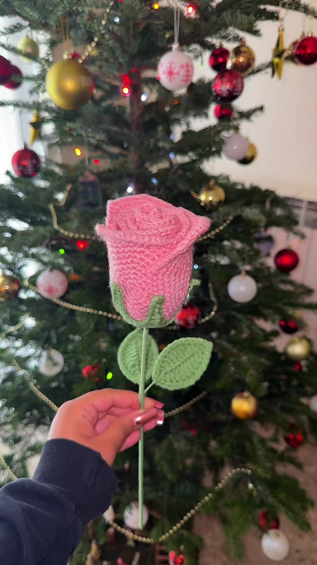 @Kapitaine Crochet 🌺