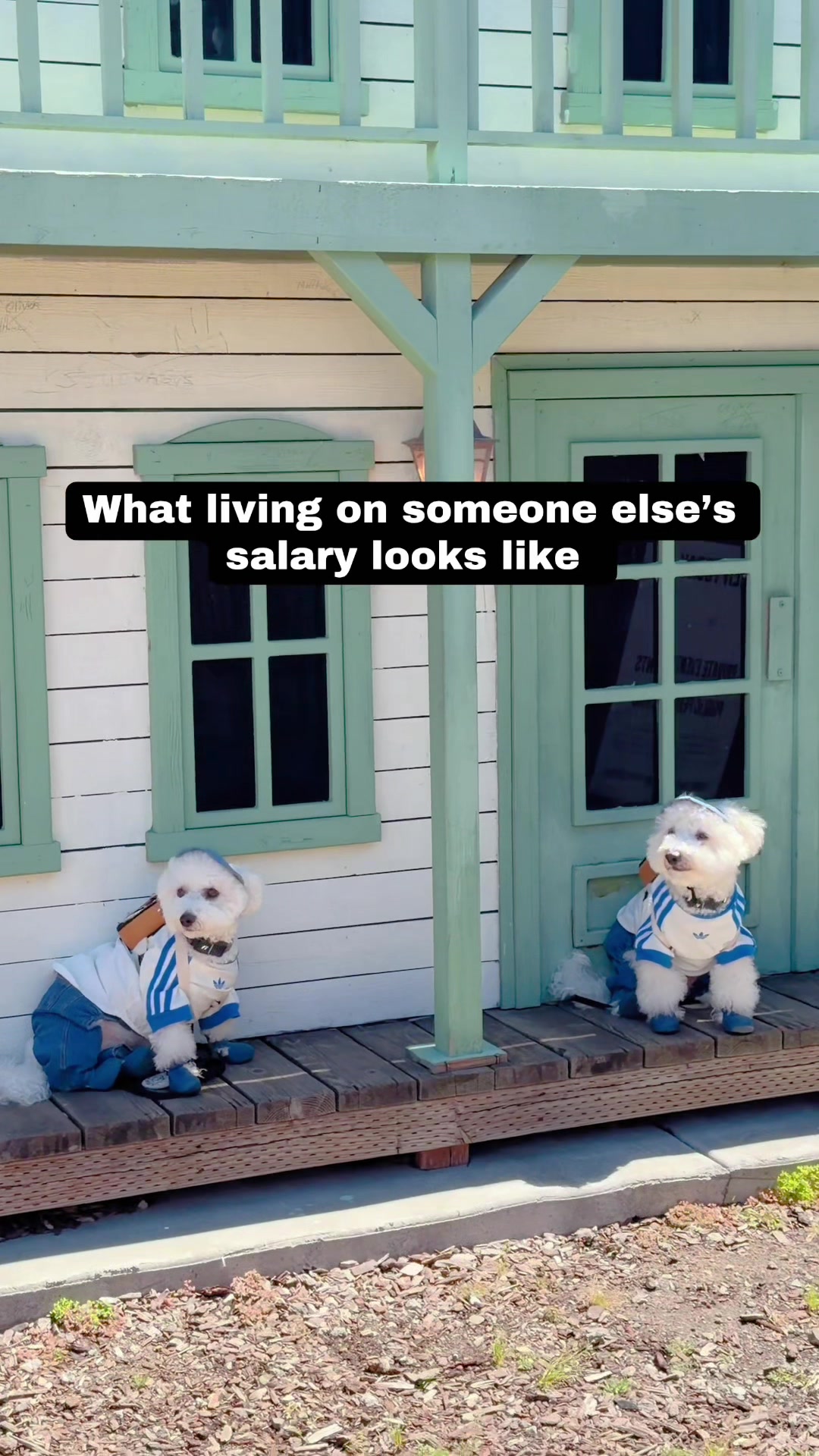 @sammy__and__gabby