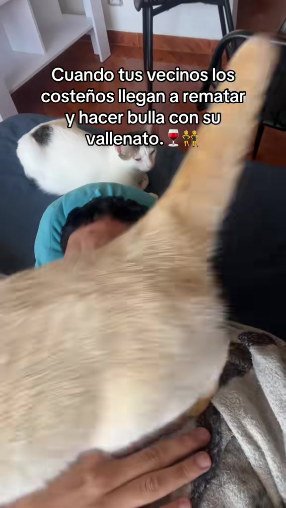 @Pecas humor