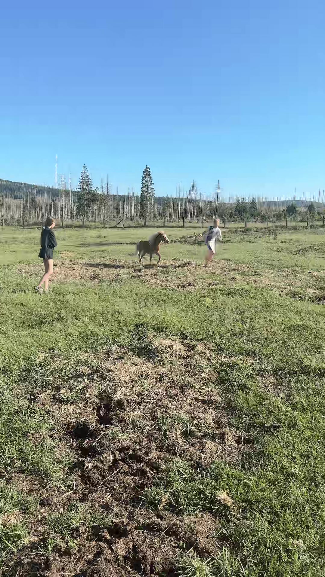@HafiHorse2