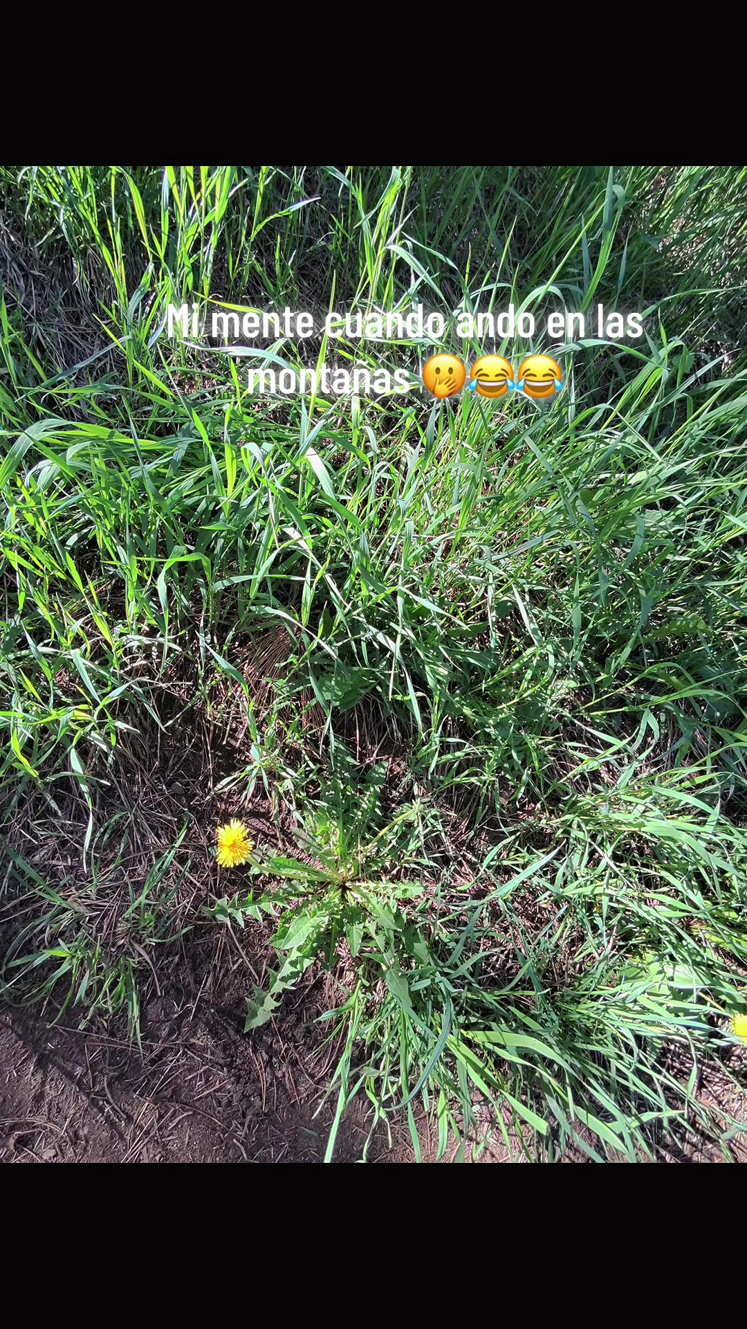 @MyLs22