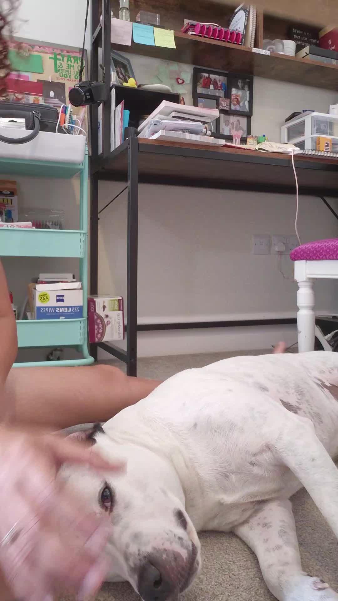 @TanyaMAT
