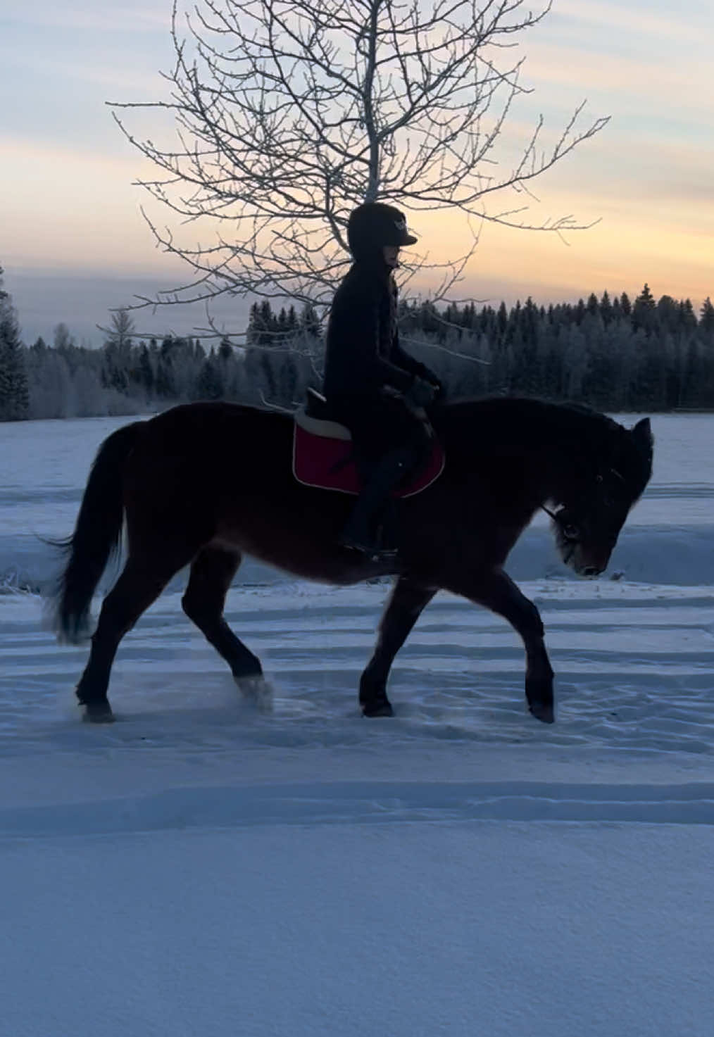 @🇫🇮𝐸𝑆𝑆𝐼 𝐴𝐻𝑂𝐿𝐴🇫🇮