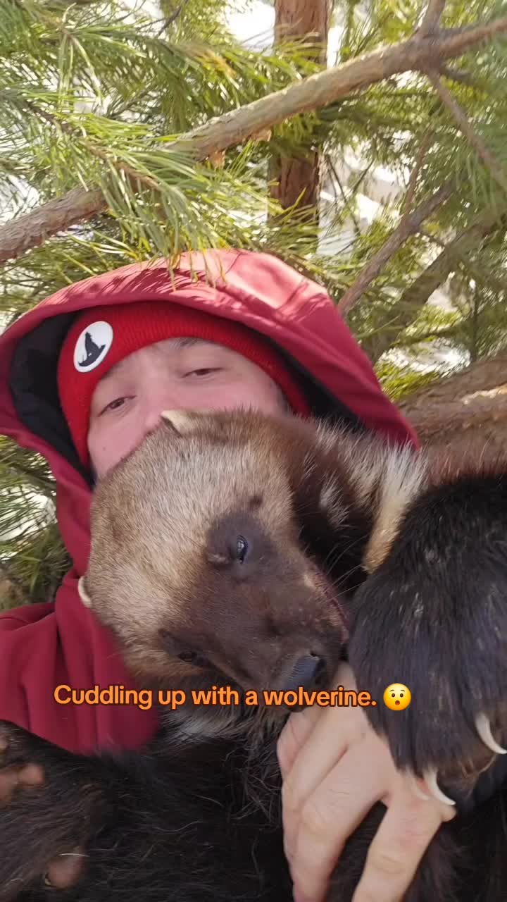 @🤣Vid&eacute;os Dr&ocirc;les.Zzz
