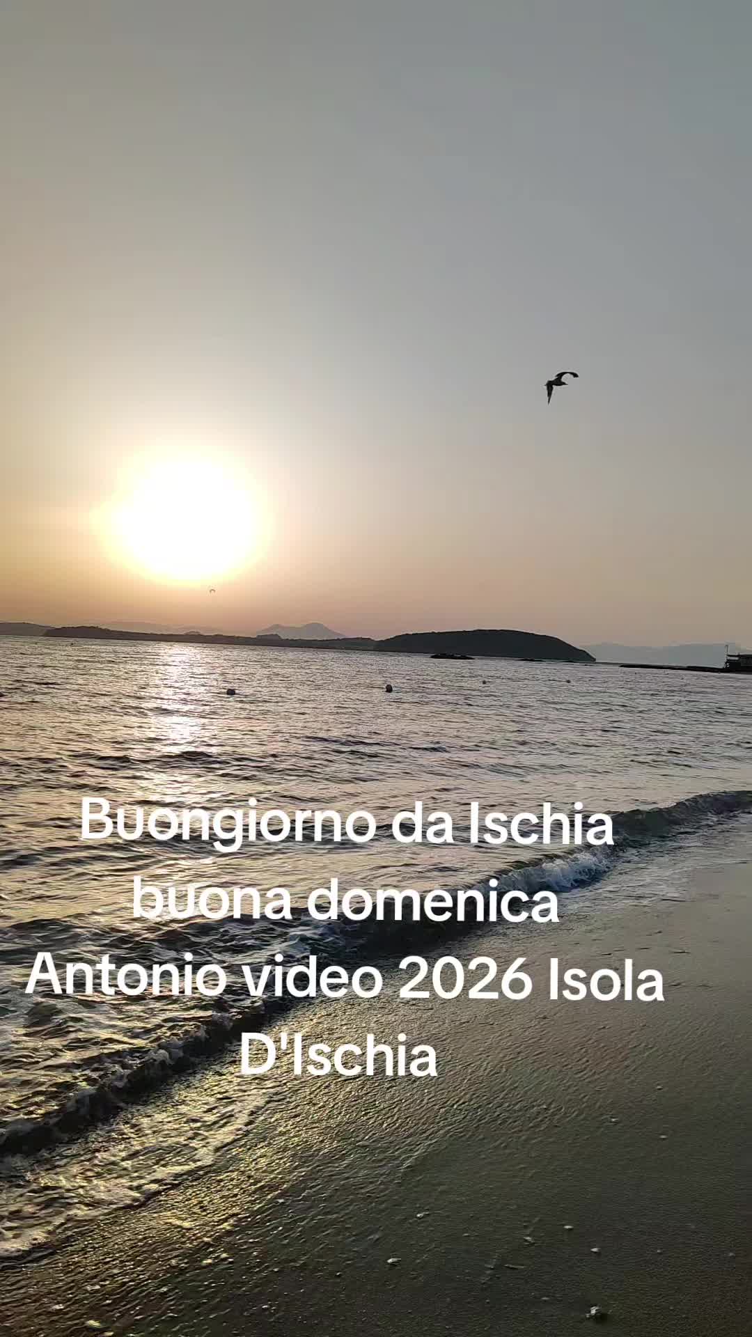 @Antonio Di Manso