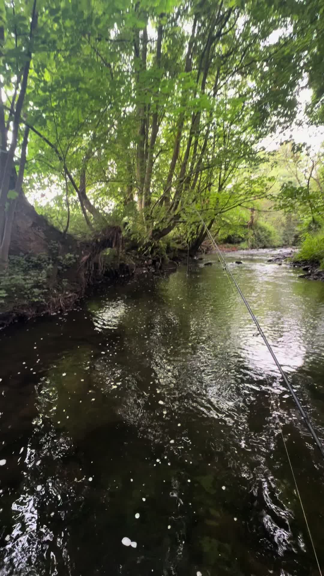 @Alba Trout 🏴󠁧󠁢󠁳󠁣󠁴󠁿