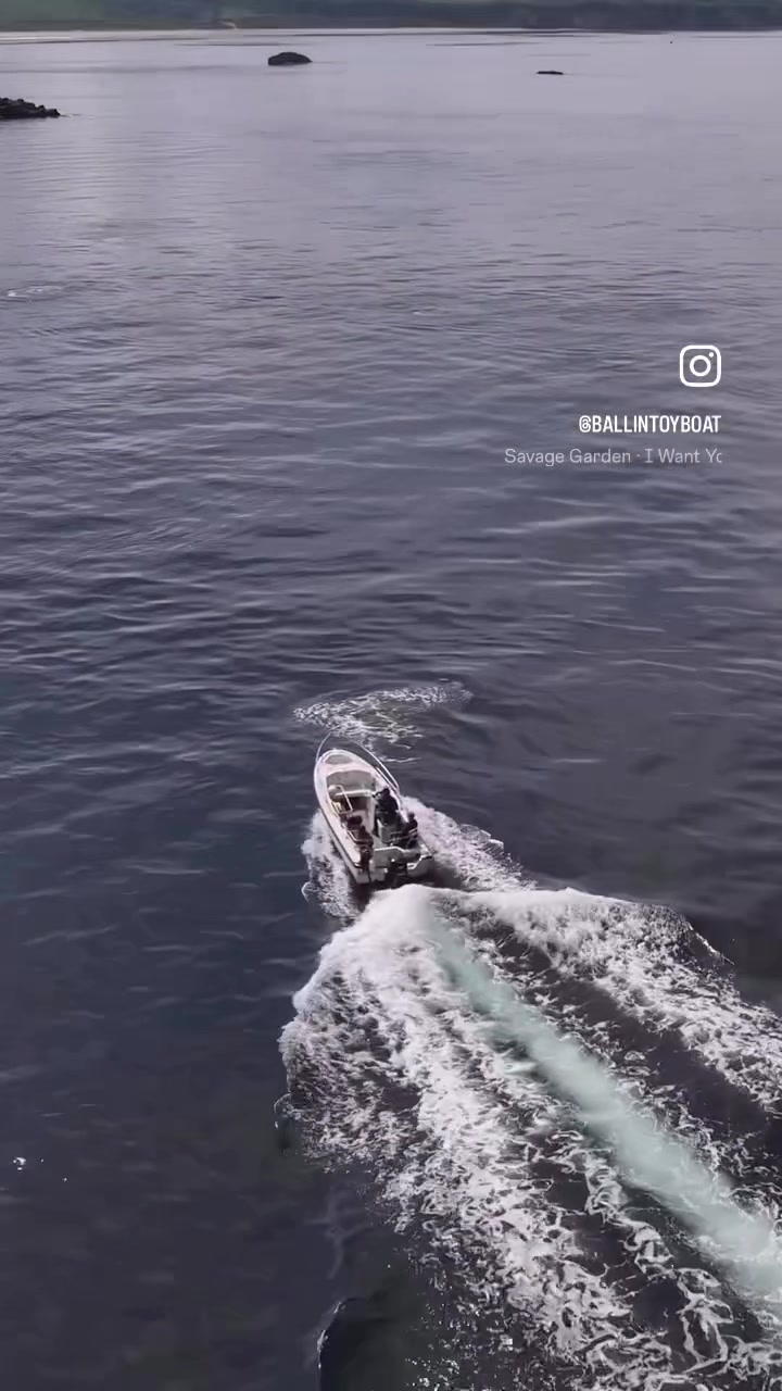 @Ballintoy Boat Tours