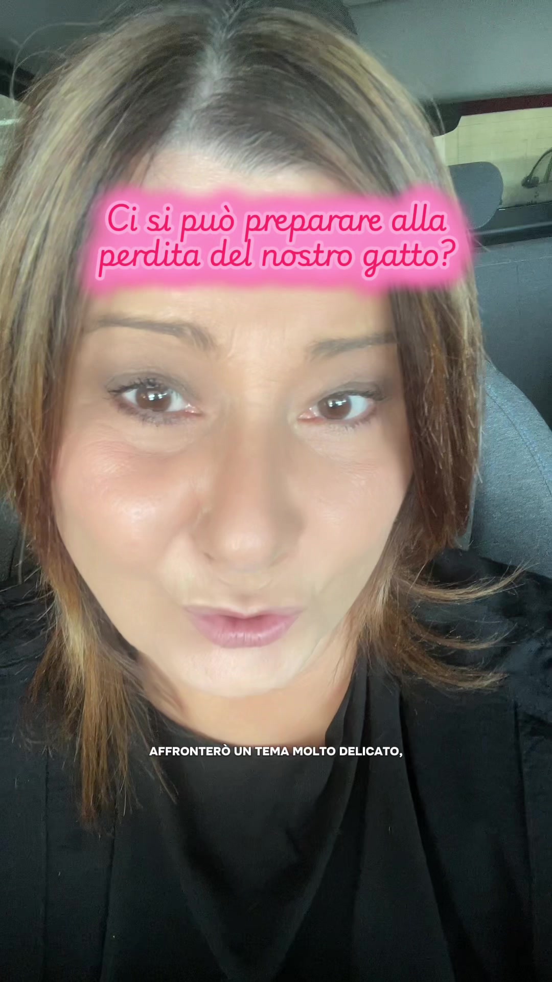 @Paolagemma Consulente Felina😻