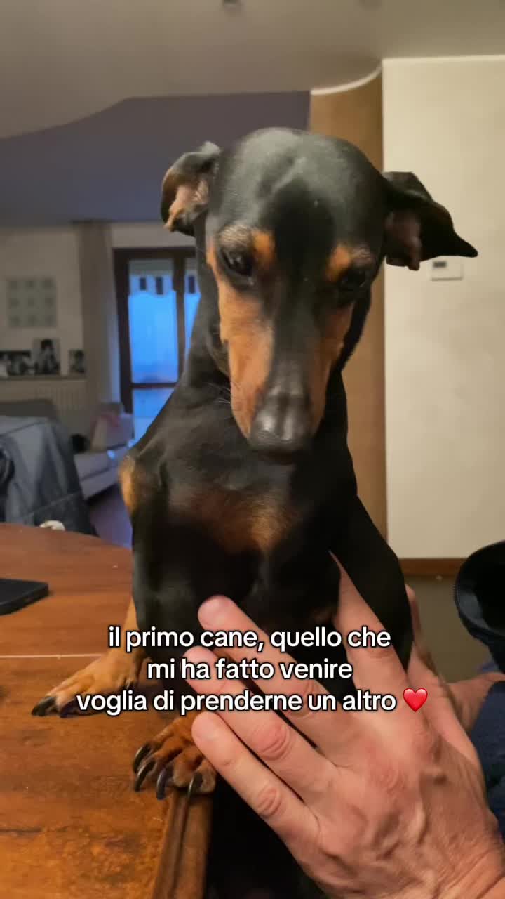 @𝓐melia