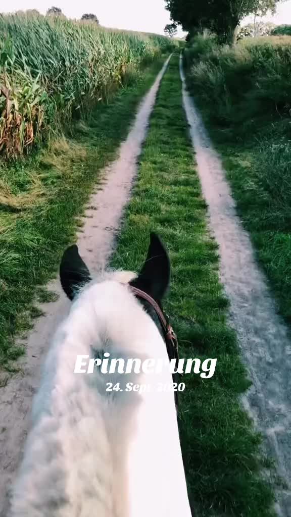 @serenety1700