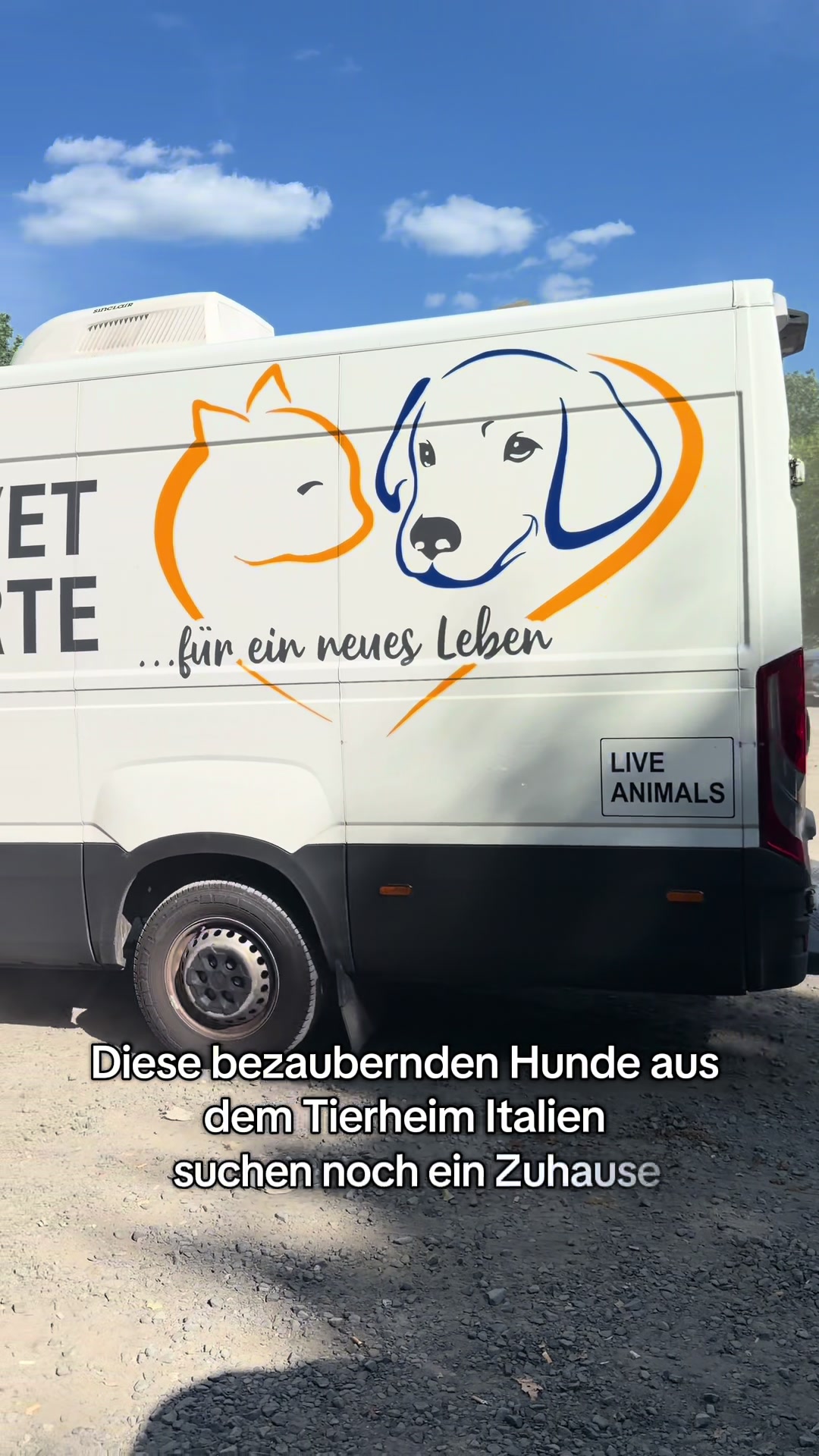 @Rheinisches Pfotengl&uuml;ck e. V.