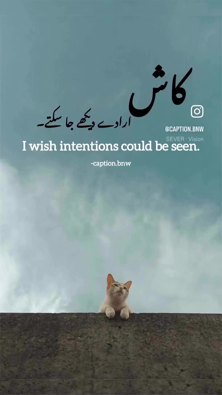 @Atif Kashmiri 🕊