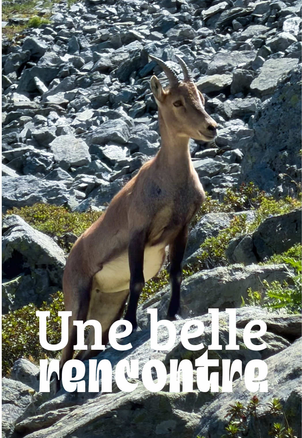 @Untraitdecheval