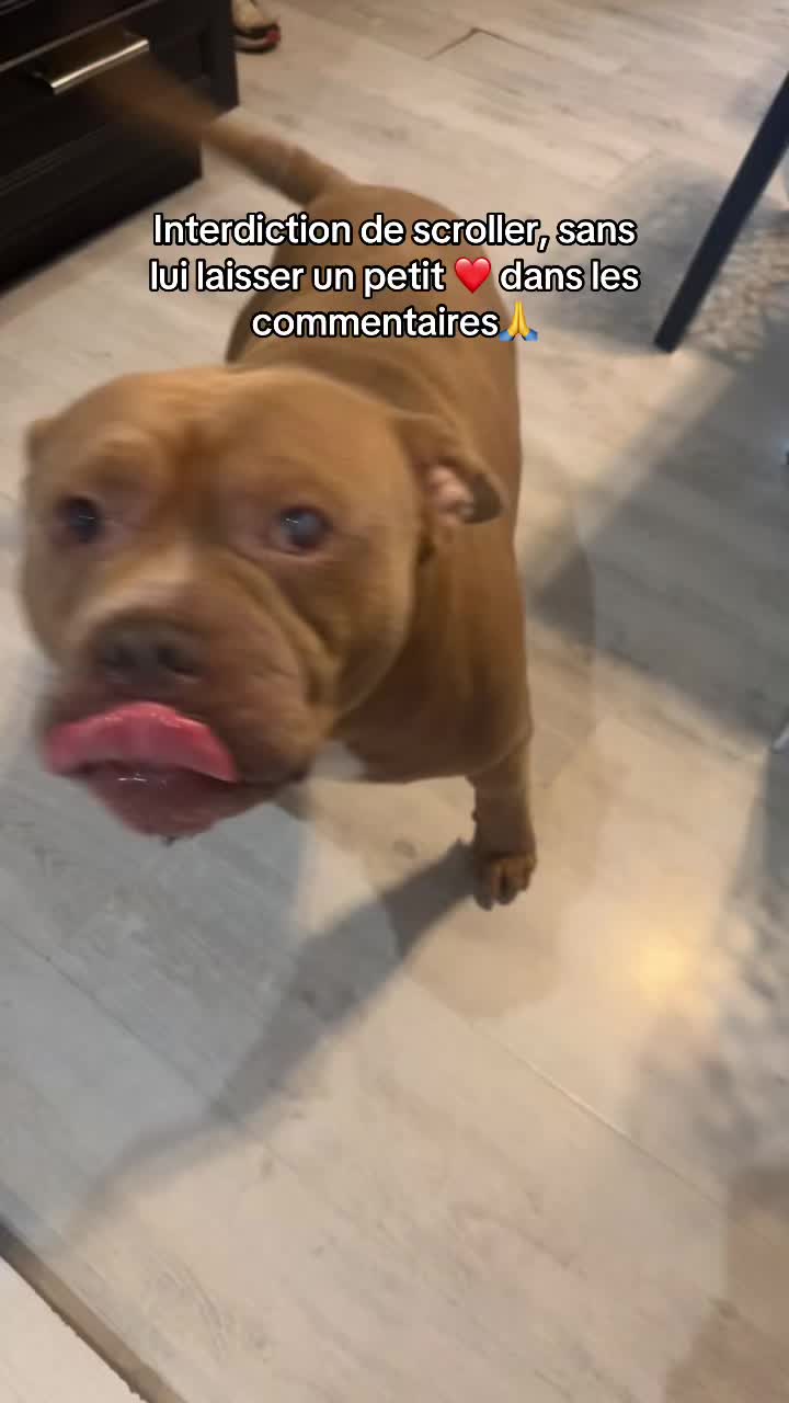 @🧩team bully🐶🧸 CB59 😂