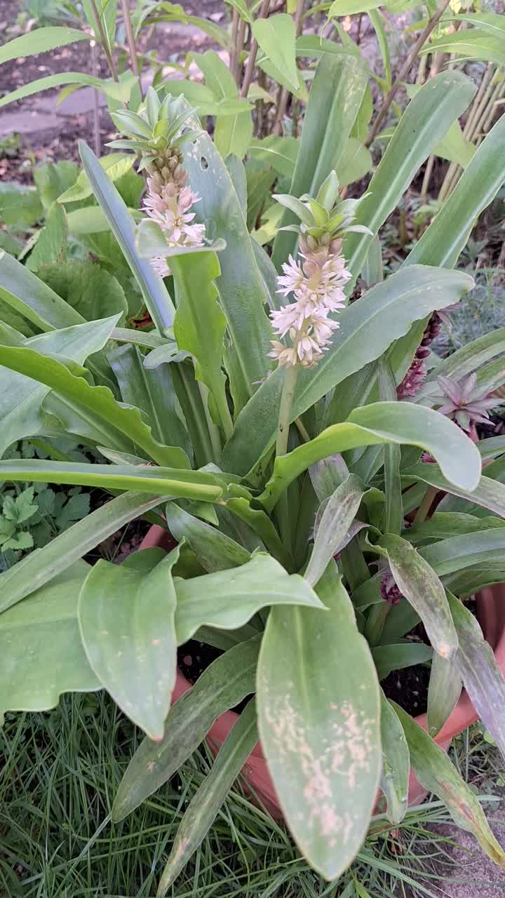 @Natur und Garten