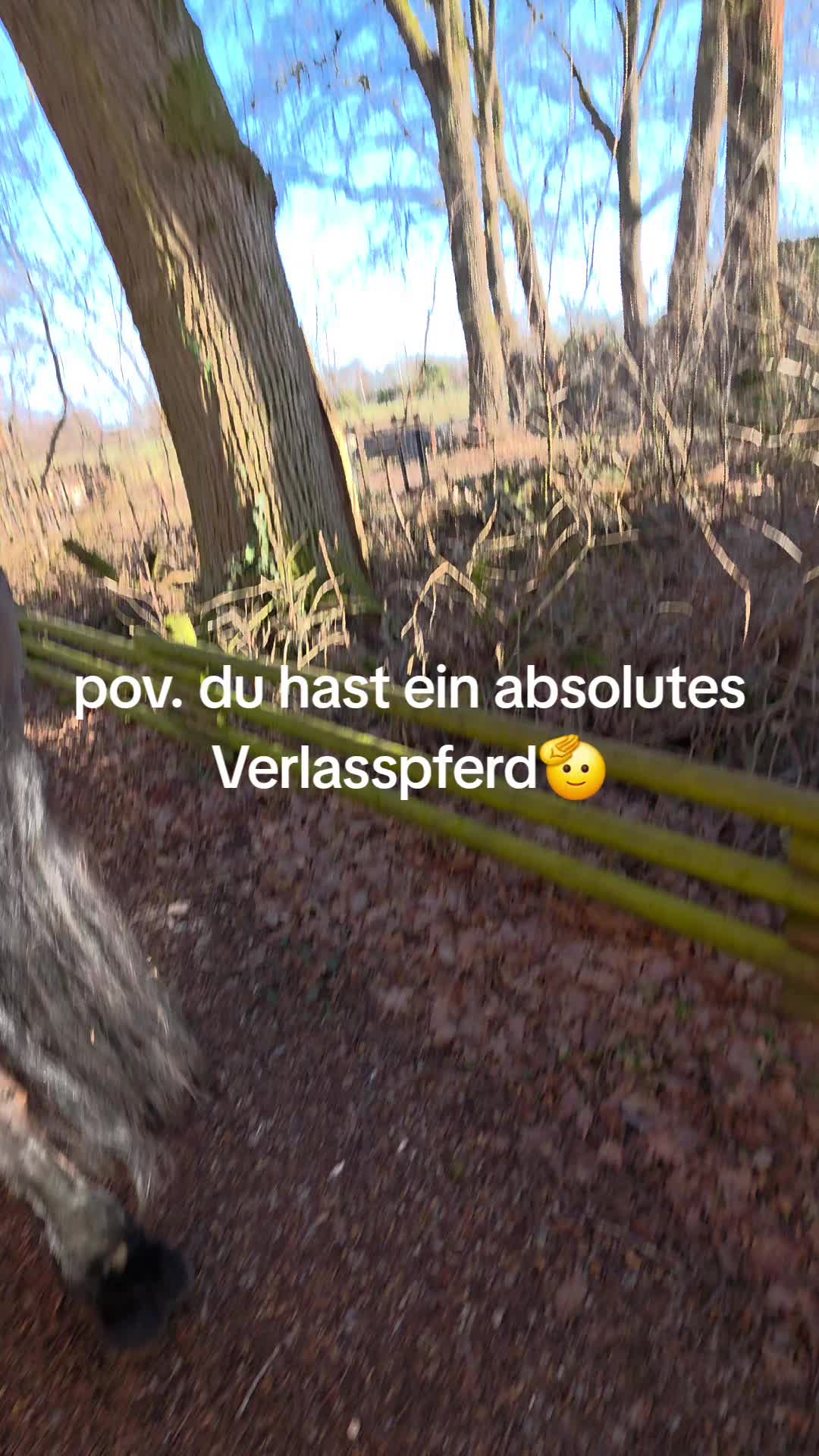 @die_van_fresserinchens