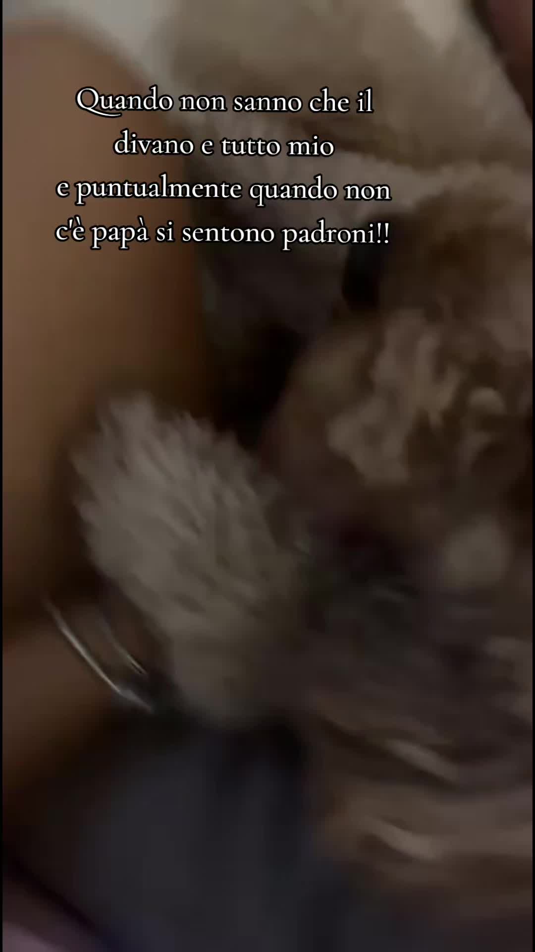 @il Barista dell'ospedale