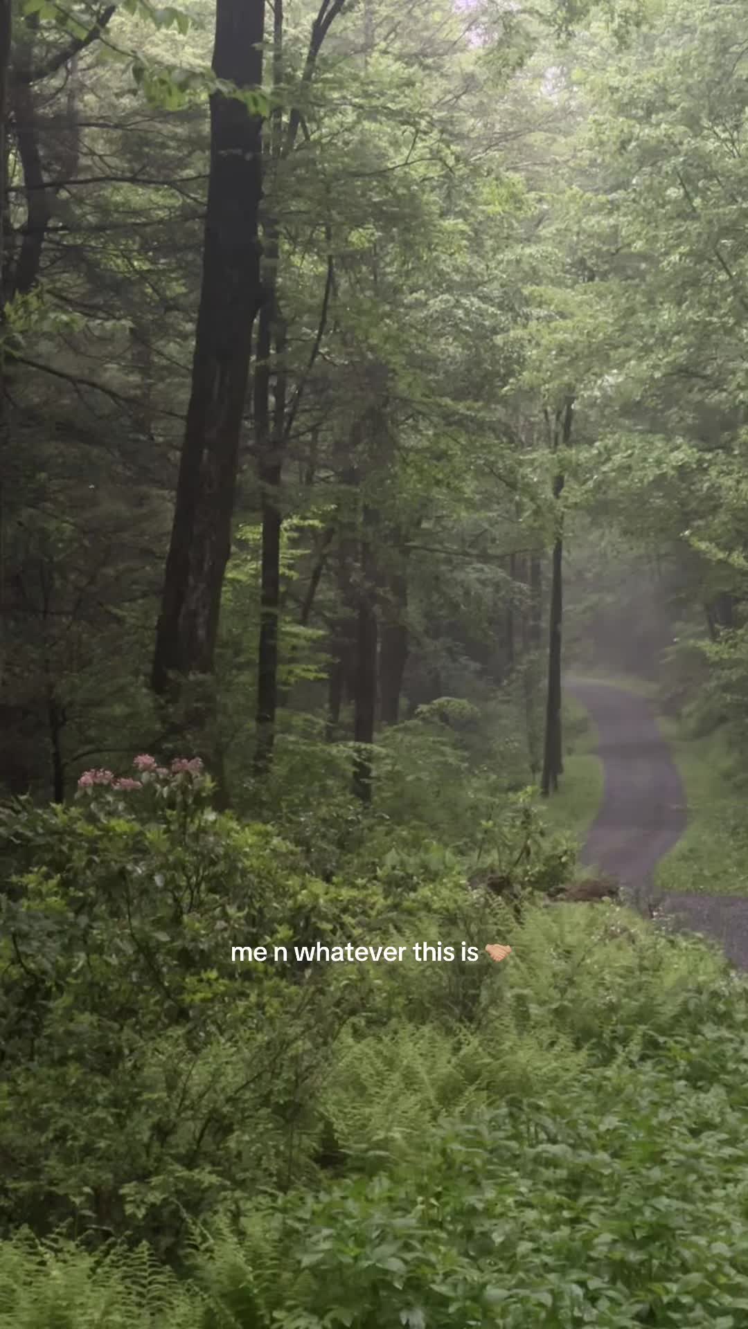 @Mads | The Sophia Perspective