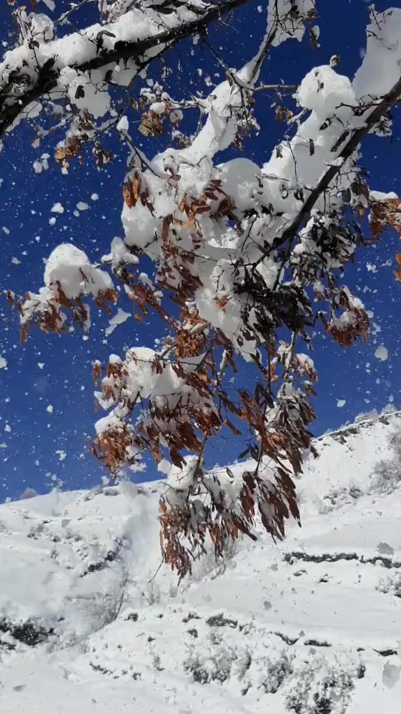 @MADAKLASHT_CHITRAL