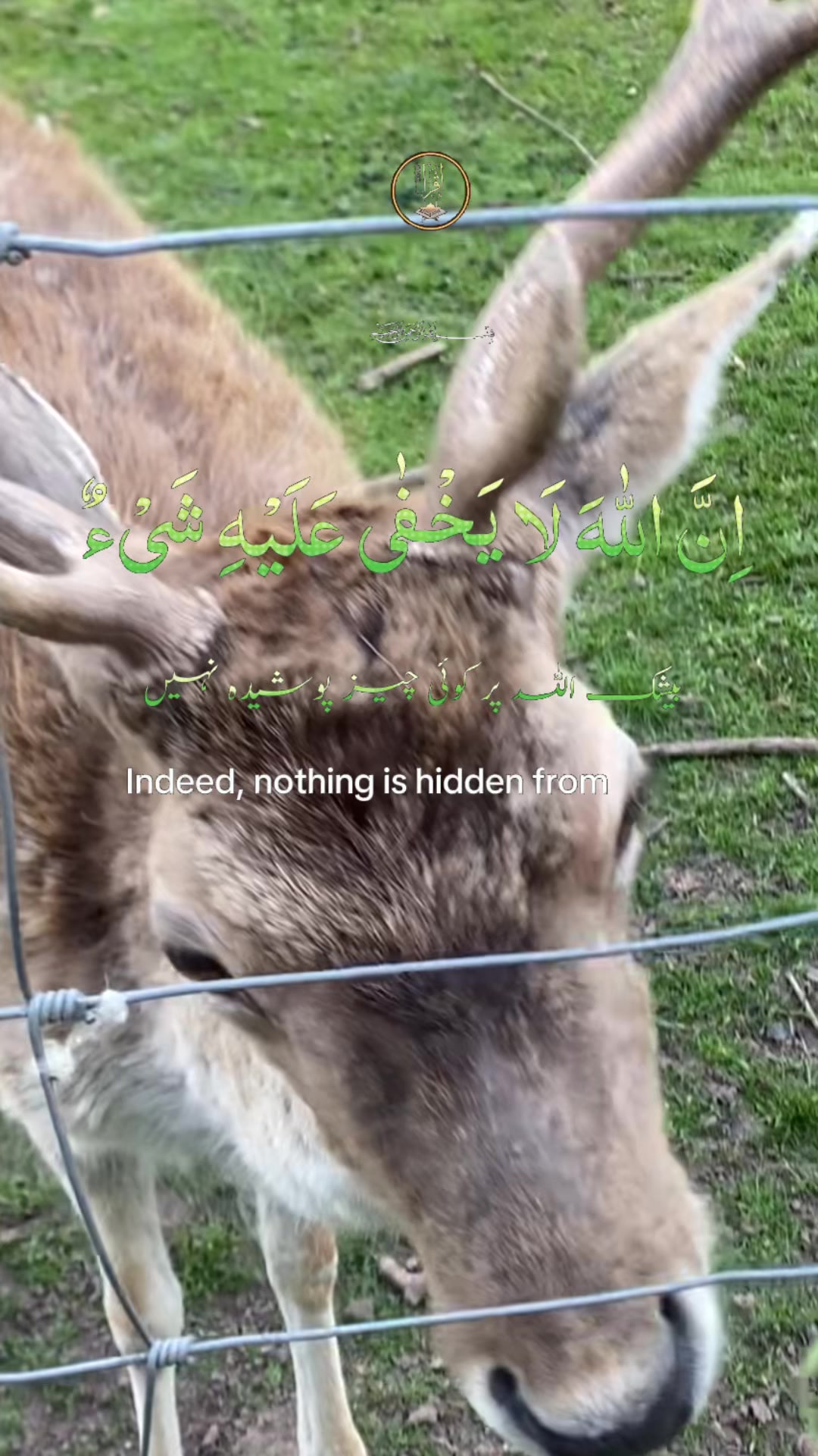 @Sakha