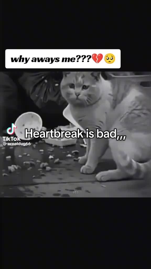 @_𝙹𝚘𝚔𝚎𝚛_𝚀𝚞𝚘𝚝𝚎𝚜_