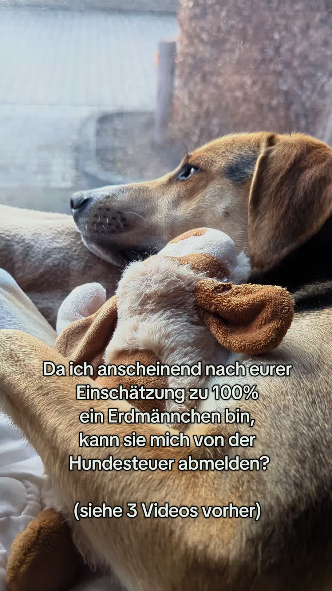 @ꪑⅈꪶꪖ ꪑꪮꪀᥴꫝꫝⅈᥴꫝⅈ