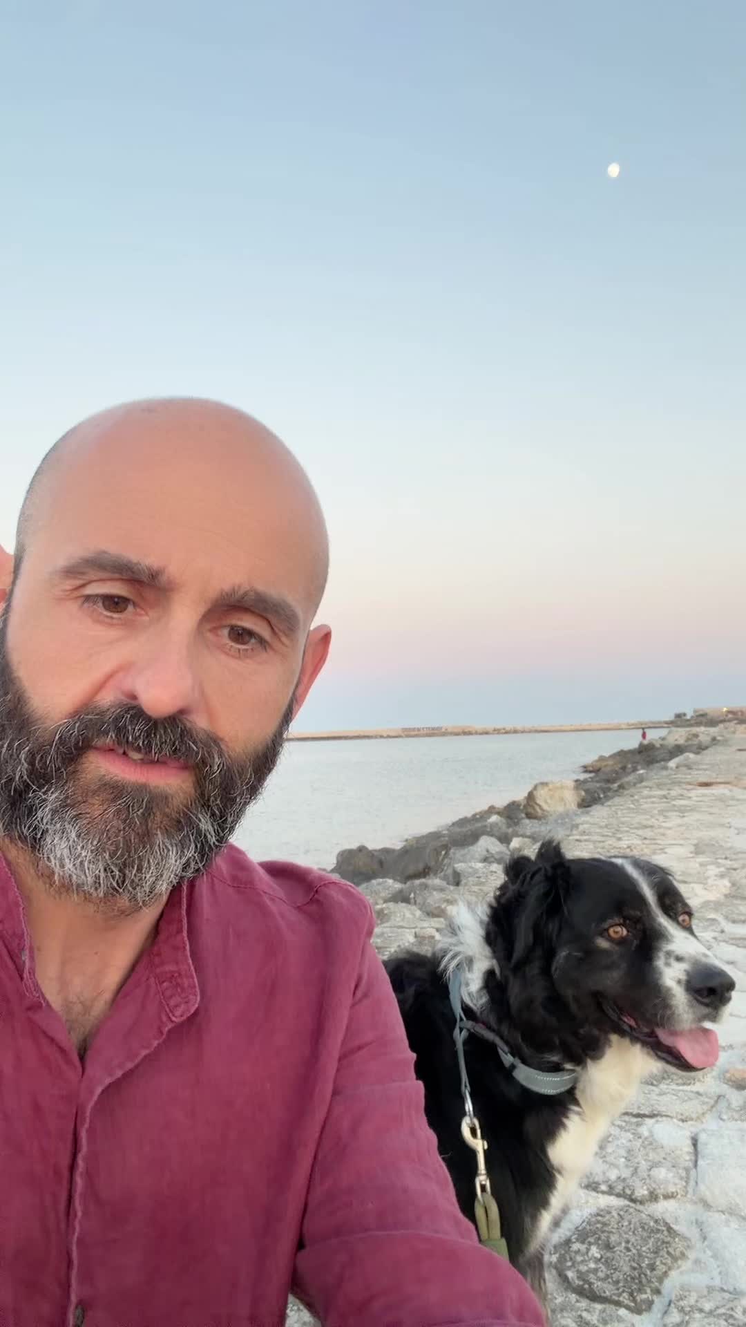 @cicciodomenico