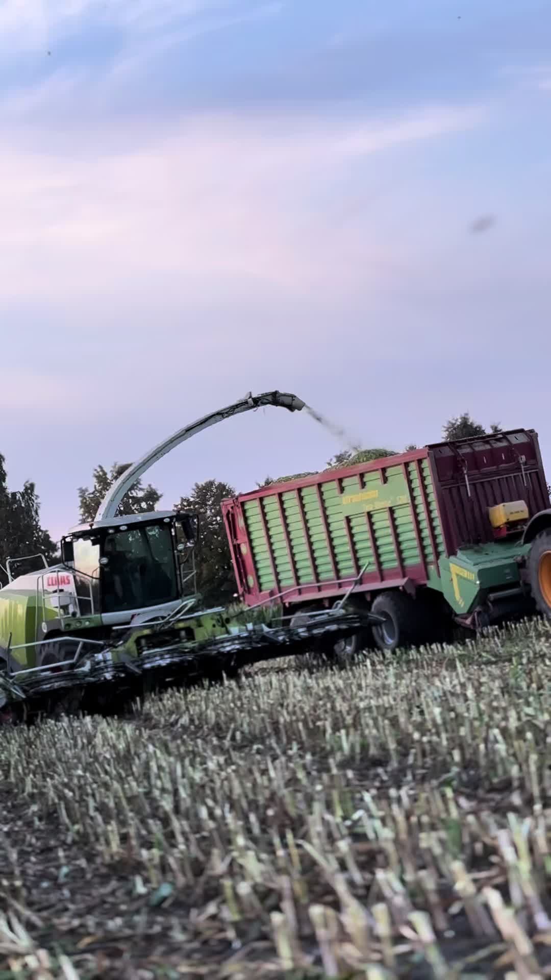 @GR.SZMURŁO🌾🐄