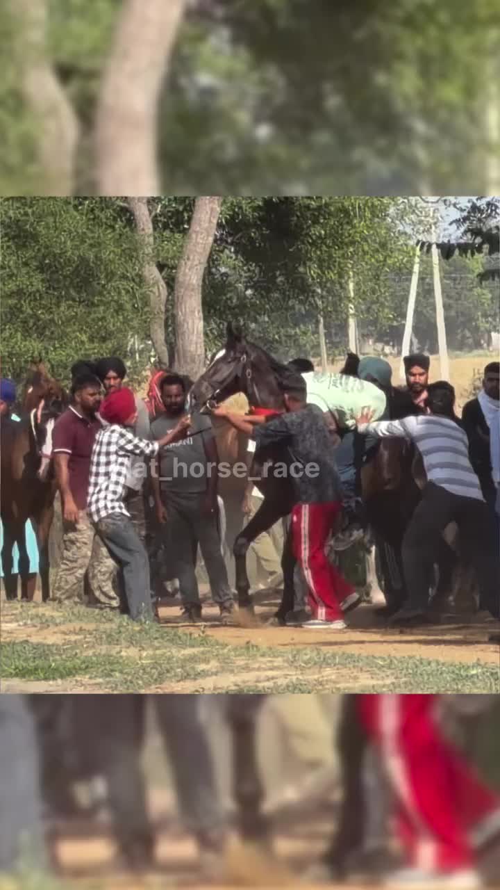 @🏇 MARWARI HORSE RACING 🏇