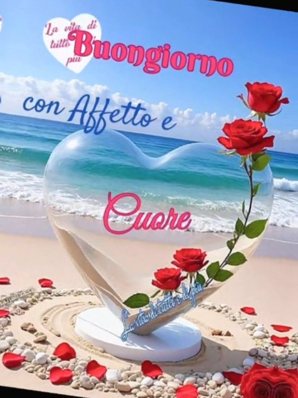 @caterinabiamonte kate