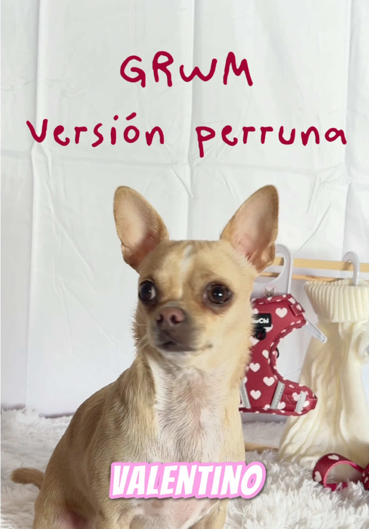 @PawChi