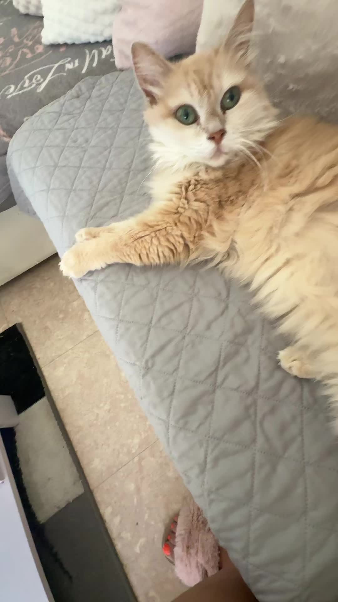 @Mimie 🥰
