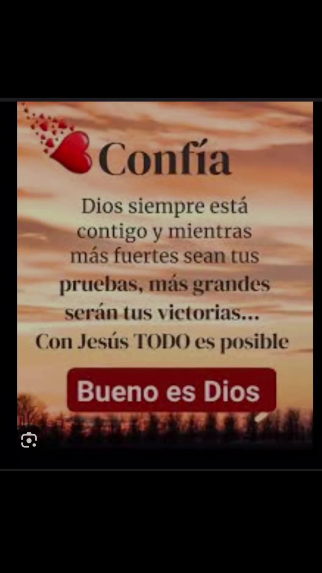 @chefdanieljfm503