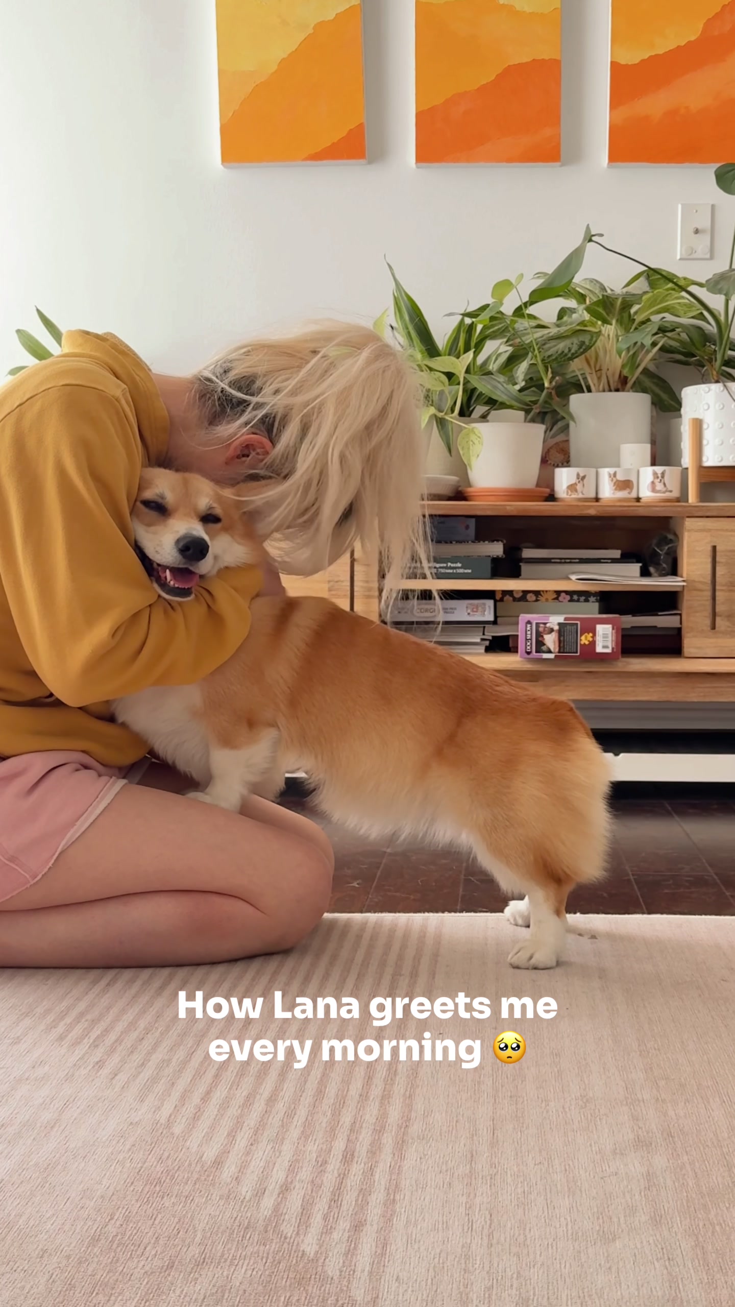 @Lacorgi