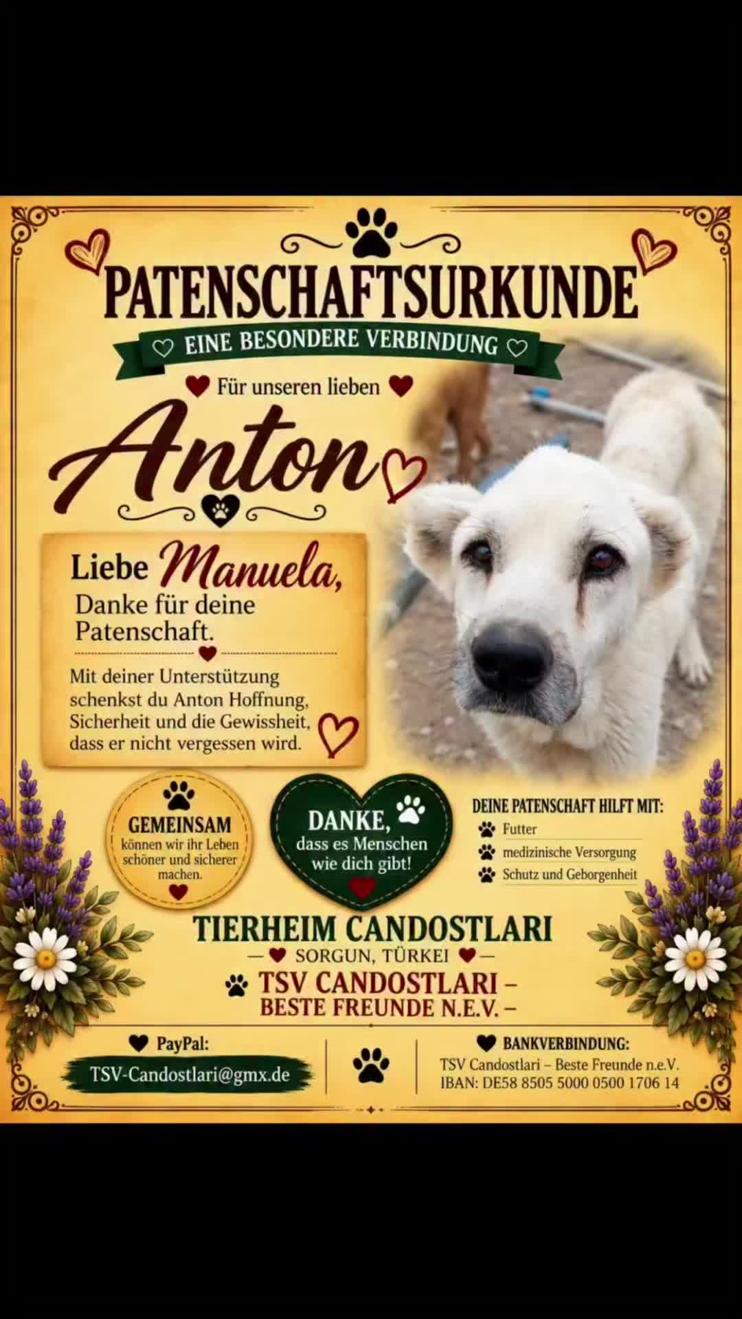 @TSV Candostlari-Beste Freunde