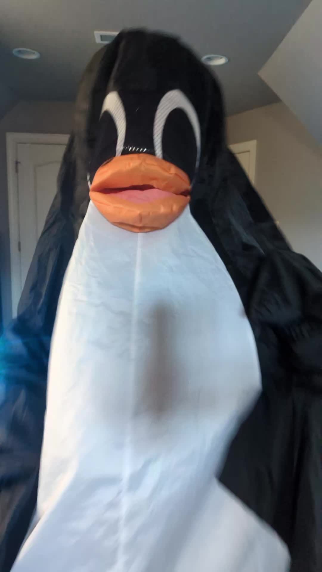 @Flipper