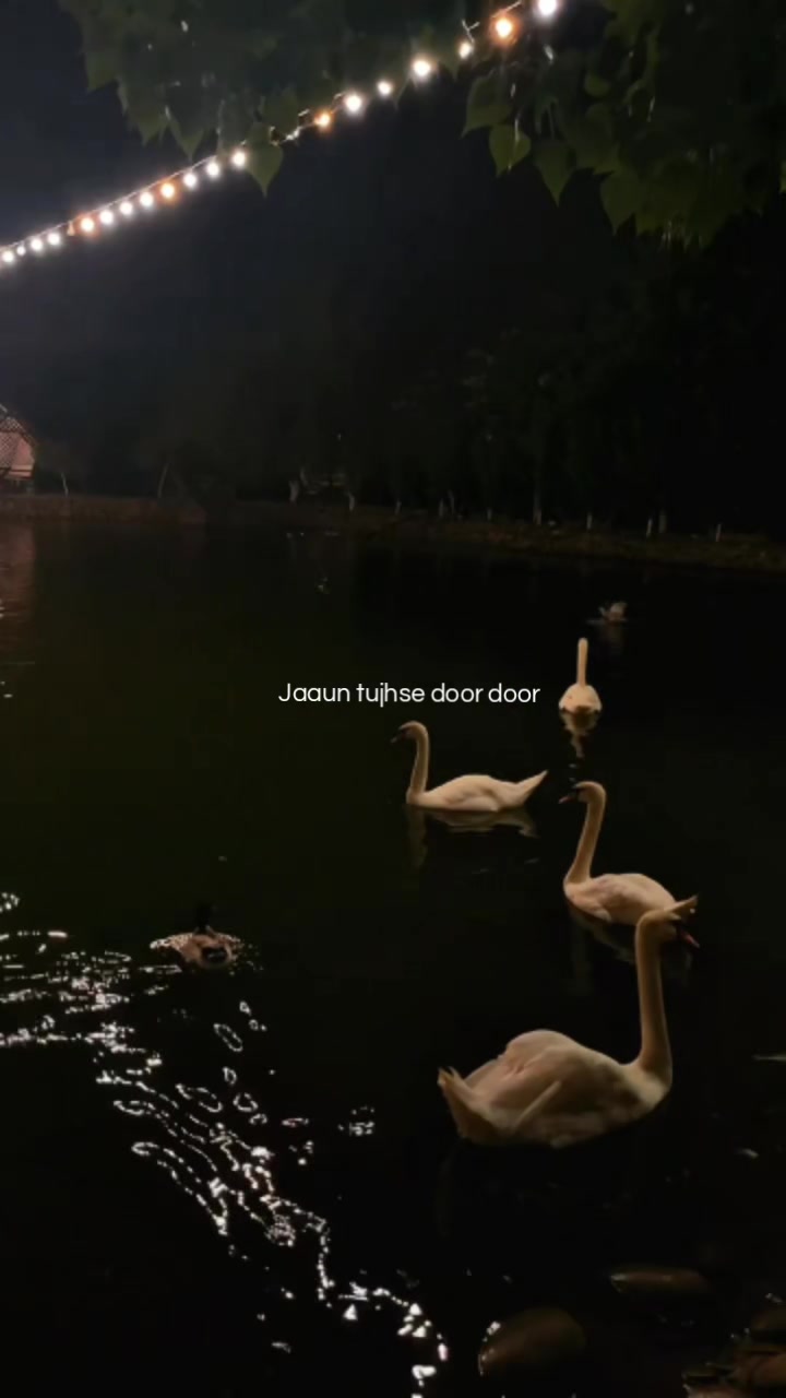 @ش؟ 𓍢ִ໋🌷͙֒
