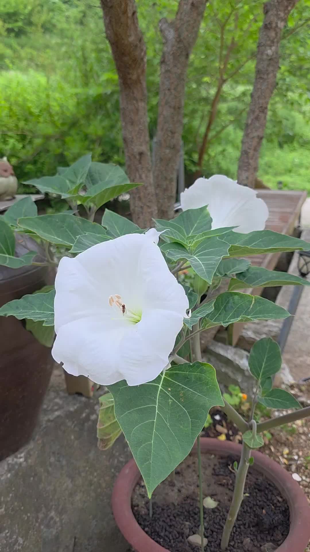 @유튜브 "정선사람들" 안용현