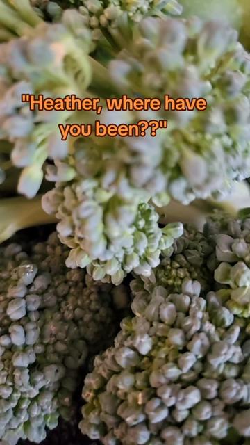 @Heather