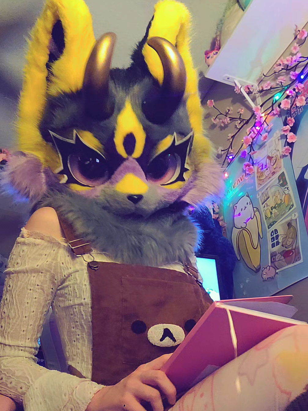 @˖°SmittenKitten⋆˚