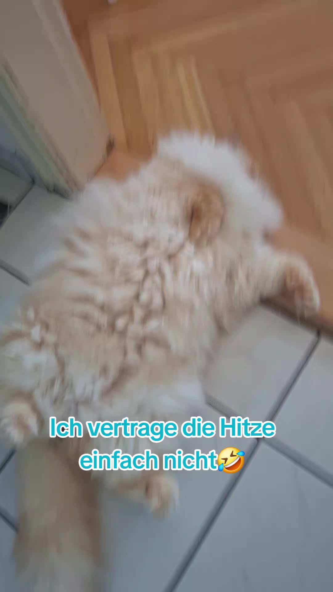 @W.W