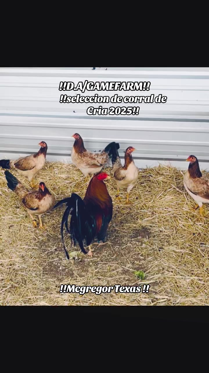 @DAgamefarm