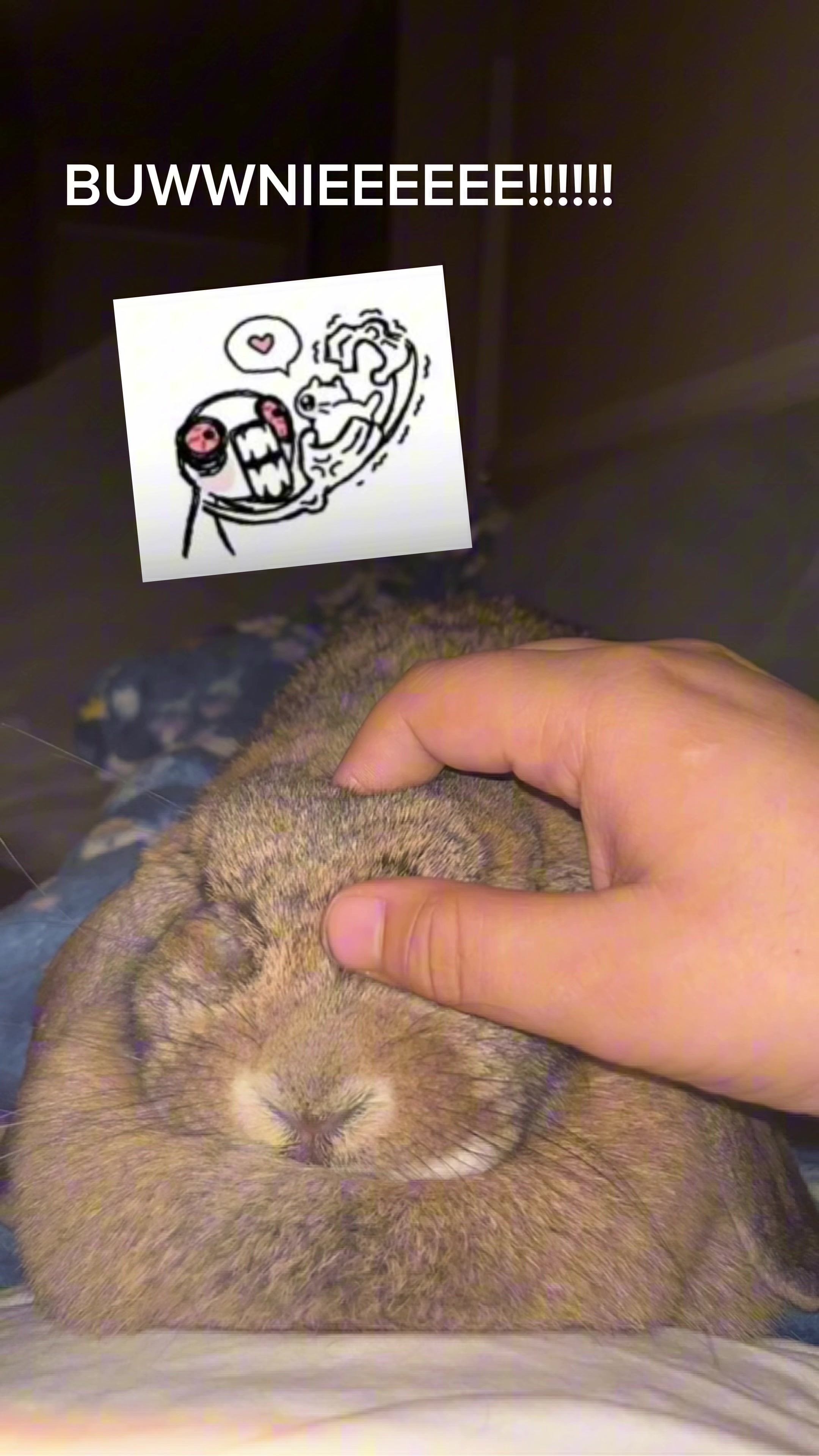 @Fadedbunny69