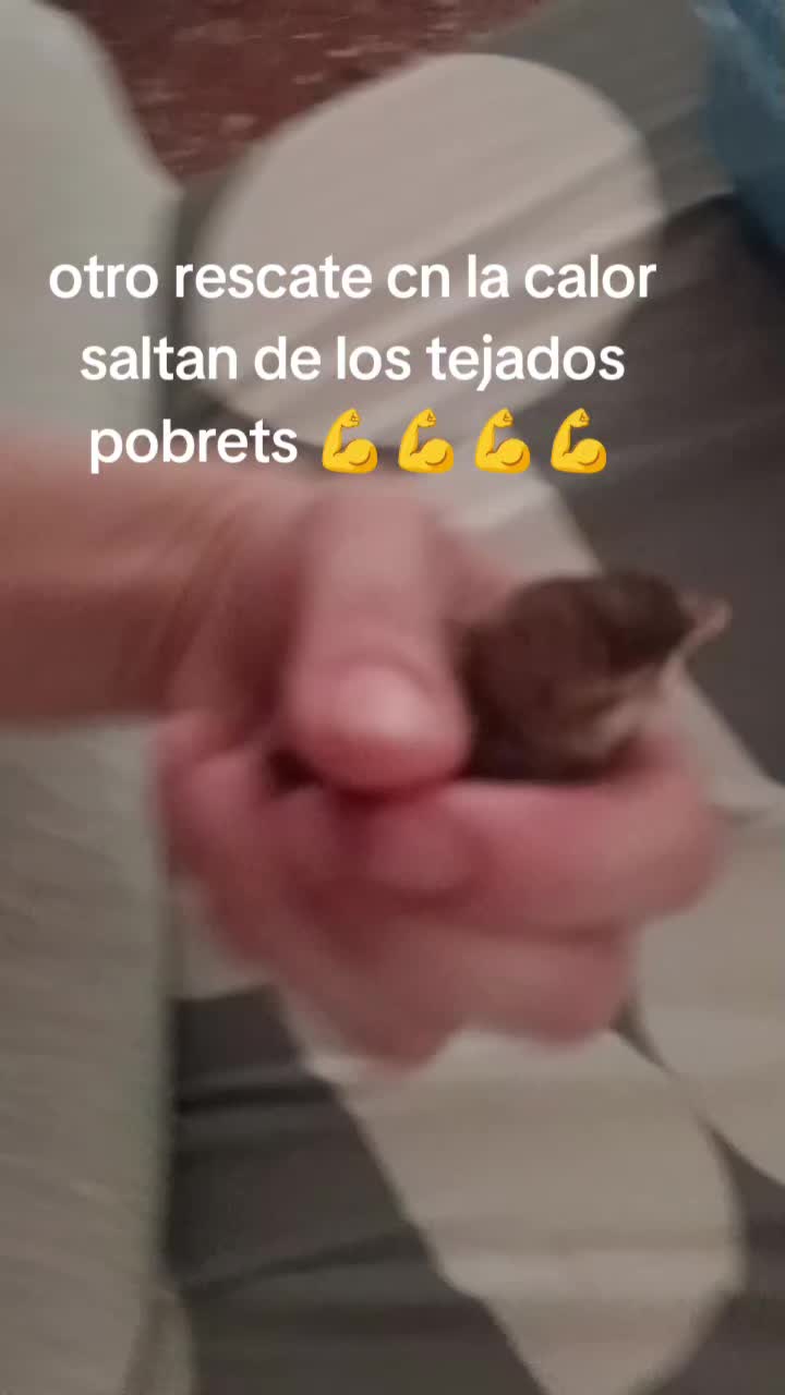@Vero Jimenez Ferrer