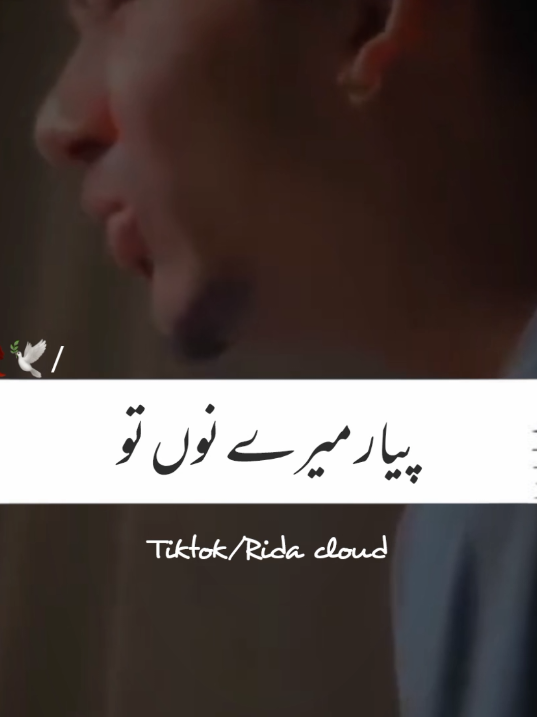 @RIDA_CLOUD❤️🩹
