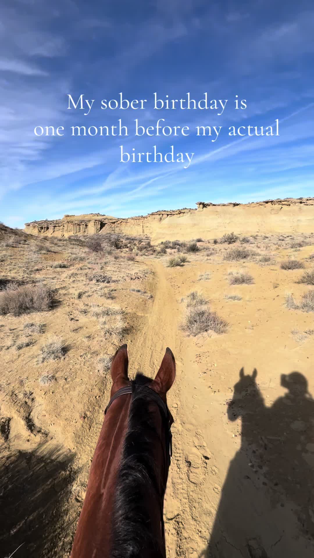 @Mindful Equine Ltd.