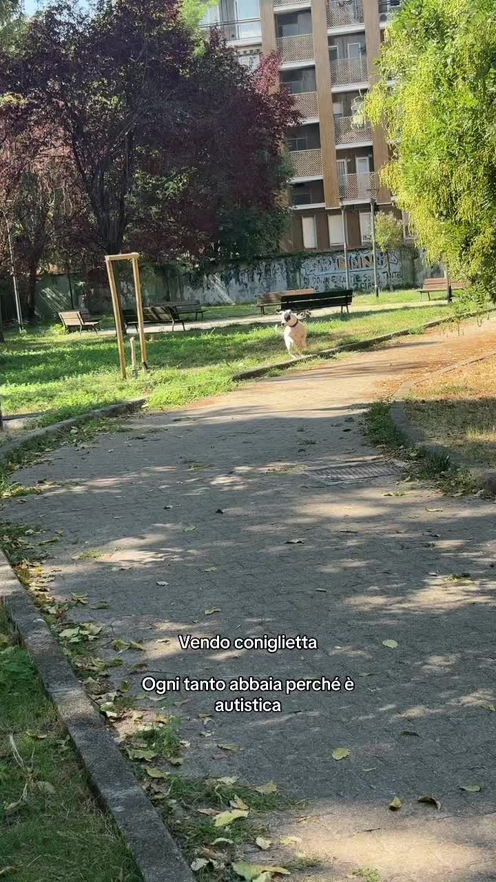 @Hahahasia